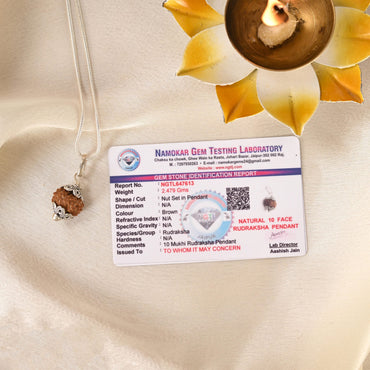 10 Face Rudraksha (Indonesian)