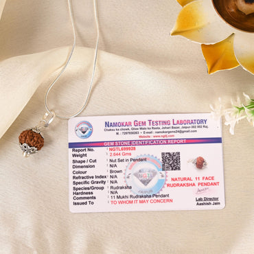 11 Face Rudraksha (Indonesian)