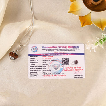 12 Face Rudraksha (Indonesian)