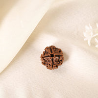 4 Mukhi Rudraksha