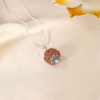 6 Face Rudraksha (Nepal)