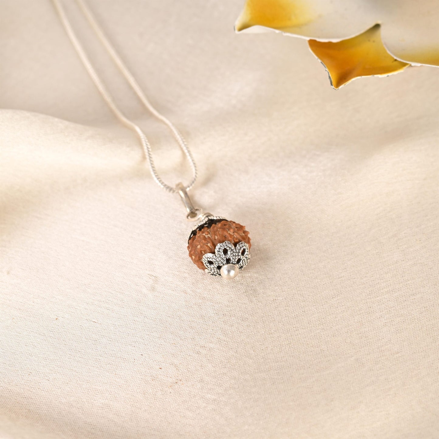 10 Face Rudraksha (Indonesian)