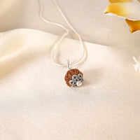 11 Face Rudraksha (Indonesian)
