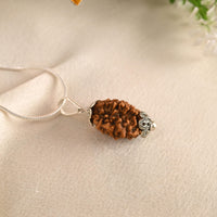 2 Mukhi Rudraksha